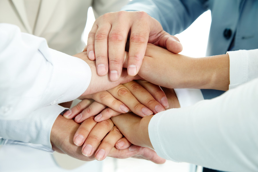 楊浦律師視角下教育局對(duì)無證駕駛教師的處理