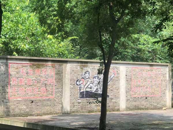 上海浦東律師為您解答法益侵害是否是生產(chǎn)銷售假藥的認定標準