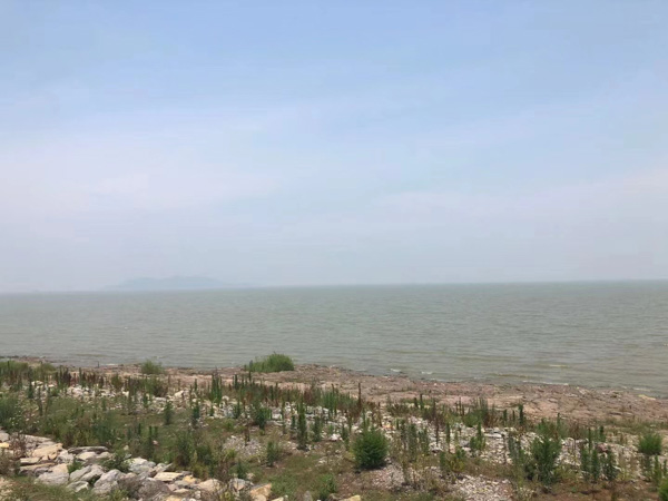 受托人將他人財產(chǎn)侵占怎么辦？青浦律師咨詢告訴您