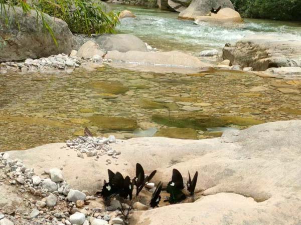 遺囑錄的像被剪輯有哪些影響？聽聽奉賢律師怎么說