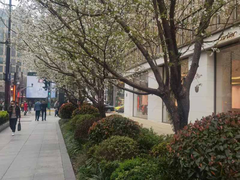 上海市律師事務(wù)所教你如何區(qū)分詐騙罪和集資詐騙罪