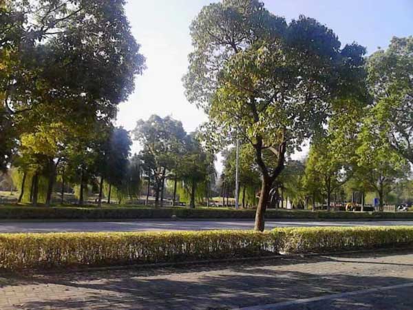 夫妻雙方如何盡到互相撫養(yǎng)的義務？松江律師事務所為您解答