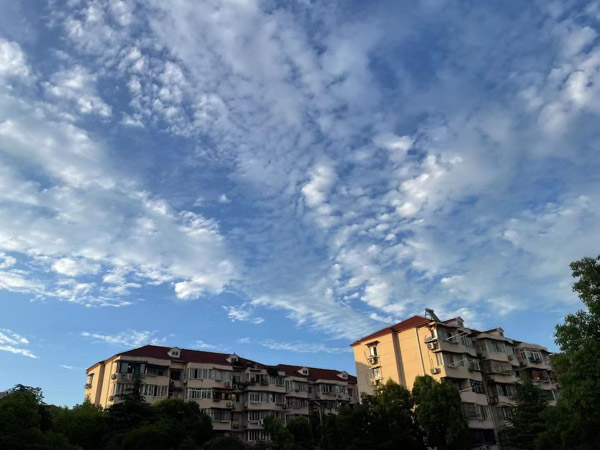 合伙人必看！嘉定律師：與合伙人常見的問題及解決方法