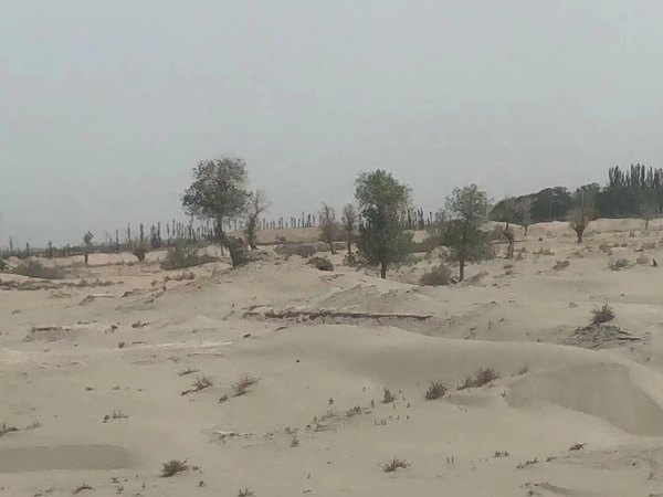 遺囑錄的像被剪輯有哪些影響？聽聽奉賢律師怎么說