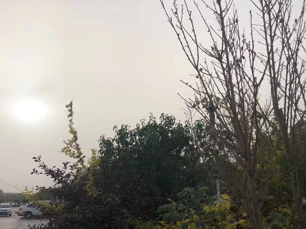 上海有名的律師來(lái)講講工程欠款合同糾紛有哪些較好的處理方法