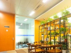 <b>上海律師咨詢網(wǎng):在法律舞臺上與時間共舞的領航者</b>