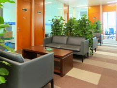 <b>上海訴訟律師詳解:法院起訴流程的規(guī)范與時間管理</b>