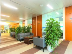 <b>五保戶身后遺產(chǎn)歸屬:上海遺產(chǎn)繼承律師視角下的法律解析與思考</b>